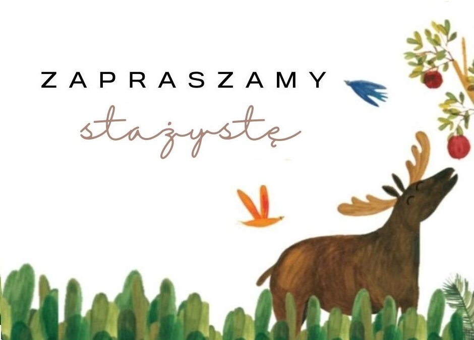 Poszukiwany stażysta/wolontariusz