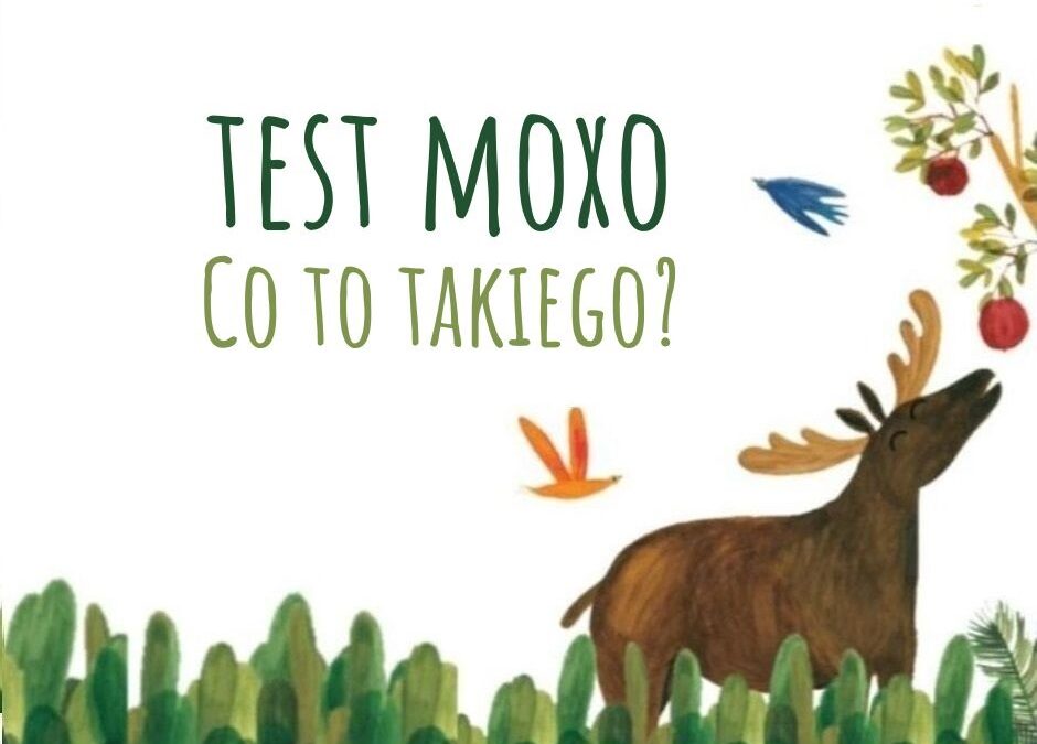 Test MOXO – co to takiego?