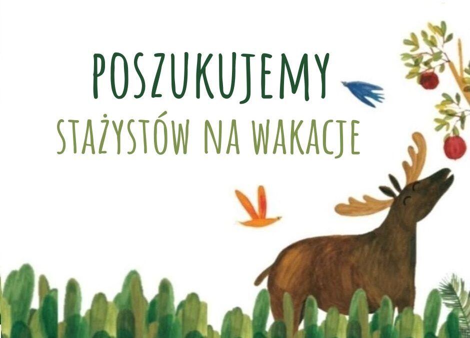 Poszukiwany stażysta