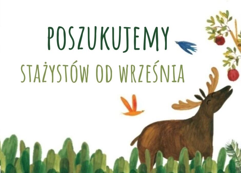 Nowy projekt – Klub Przystani