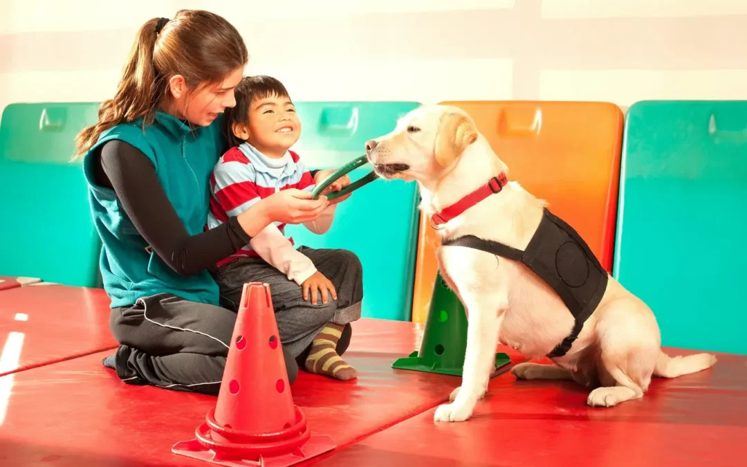 Dogoterapia dla dzieci z trudnościami rozwojowymi